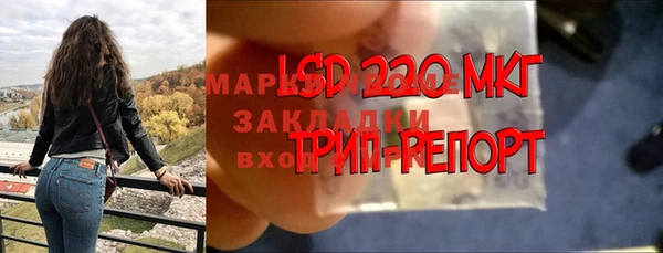 ГАЛЛЮЦИНОГЕННЫЕ ГРИБЫ Алзамай