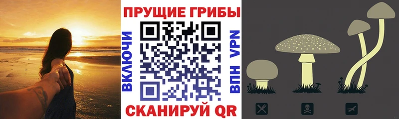 Галлюциногенные грибы мицелий  Арамиль 